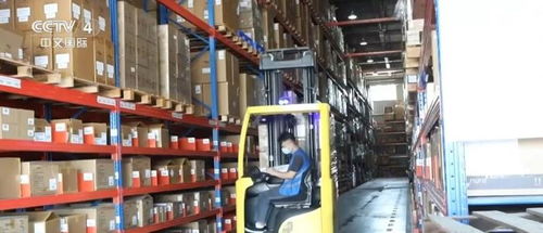 稳规模、提质量，出口动能换挡中产品结构优化升级