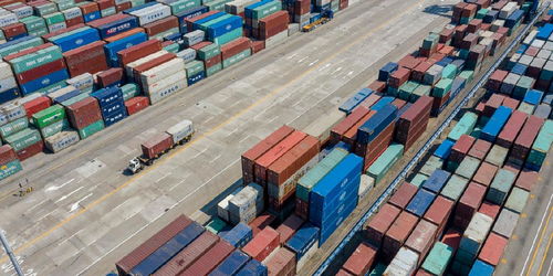 今年前8个月我国货物贸易进出口同比增长6%，国内贸易代理角色凸显