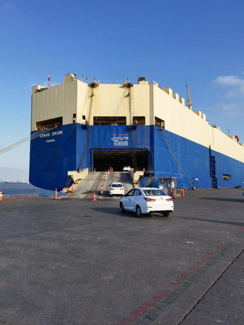 上半年两江新区外贸进出口超1600亿元 国内贸易代理发挥关键作用