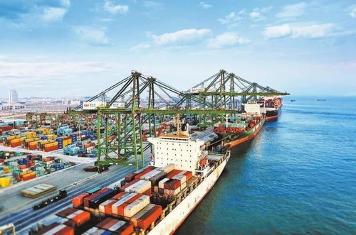 货物出口保税区再进口流程详解